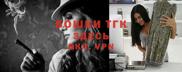 прущие грибы Белокуриха