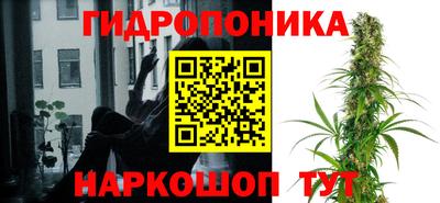 jwh Гусиноозёрск