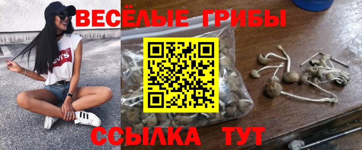 Галлюциногенные грибы Cubensis Краснознаменск